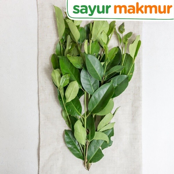 

Daun Salam Konvensional 10 gram Sayurmakmur