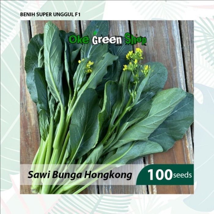 Benih Seribuan - 100 Biji Benih Bibit Sawi Caisim Hongkong Unggul