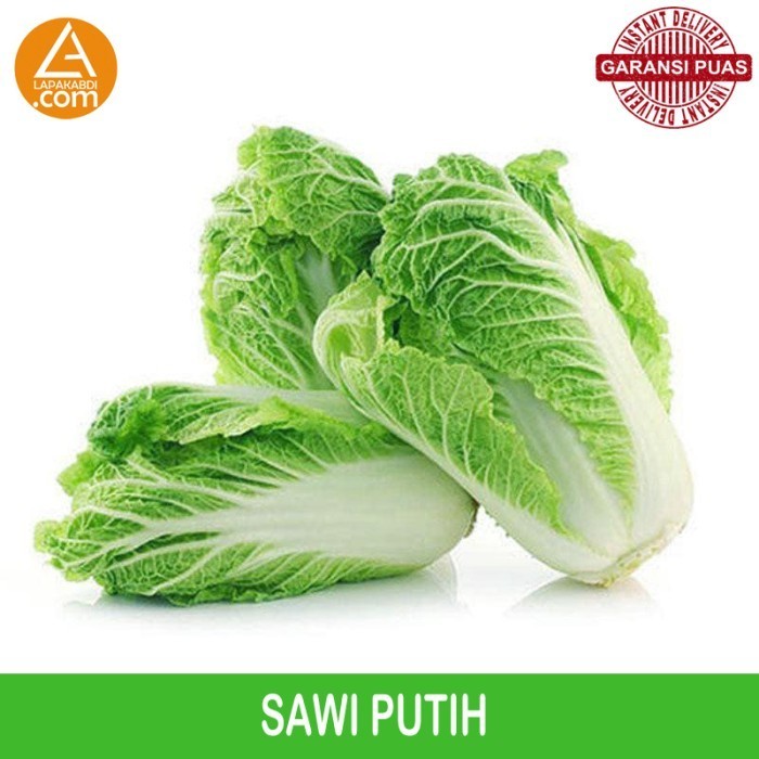 

Sawi Putih 1 Kg Sayur Segar Garansi Termurah