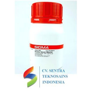 BSA/Albumin/Bovine Serum Albumine