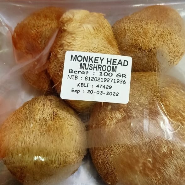 

Jamur kepala monyet / monkey head mushroom 100gr