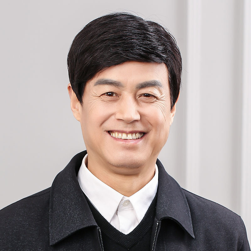 Wig pria, wig pria paruh baya dan lanjut usia, tutup kepala rambut pendek,-COD