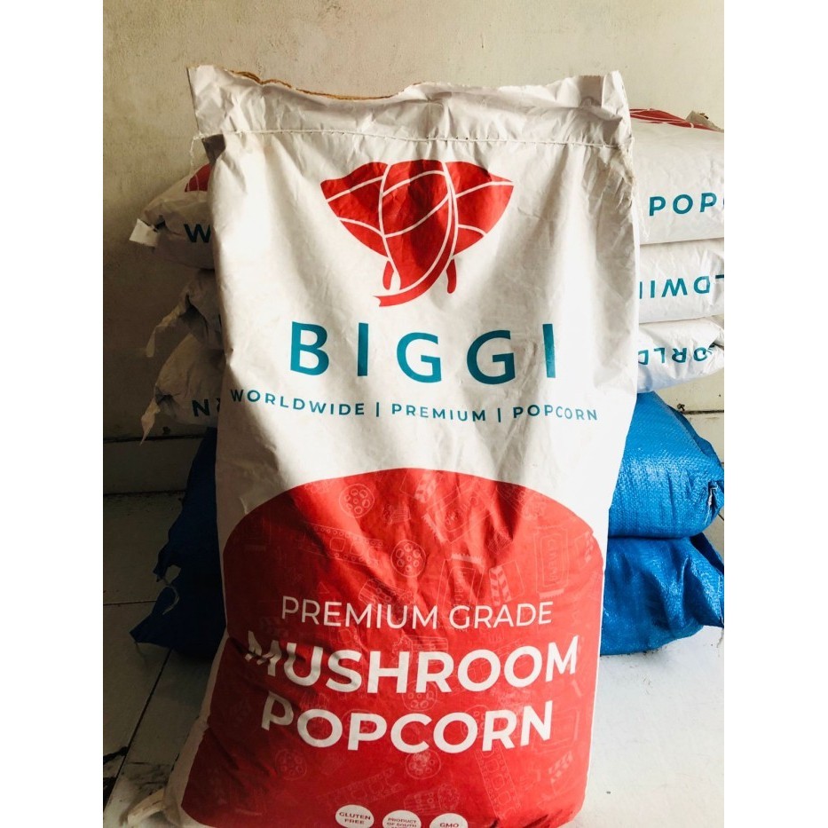 

NEW Jagung Popcorn Mushroom Jumbo 1 Sak / Biji Jagung