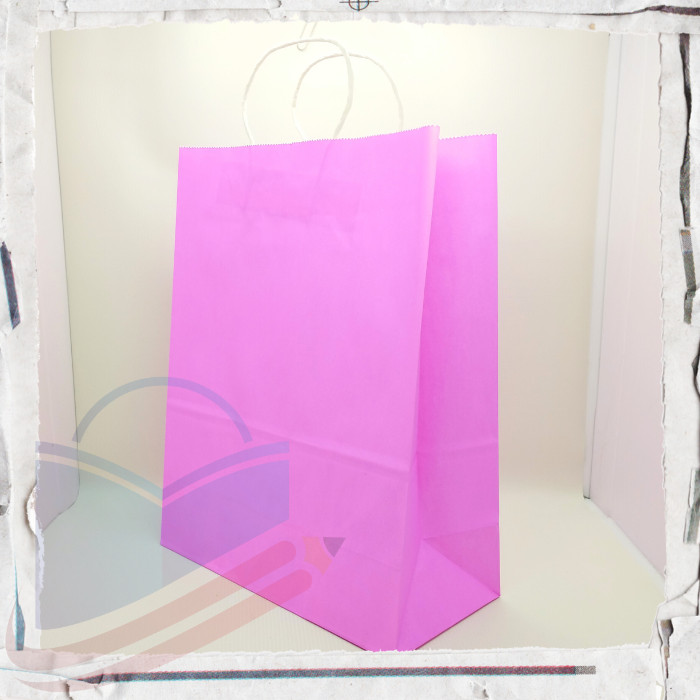 

Paper Bag / Goodie Bag Vis-1 Warna Polos