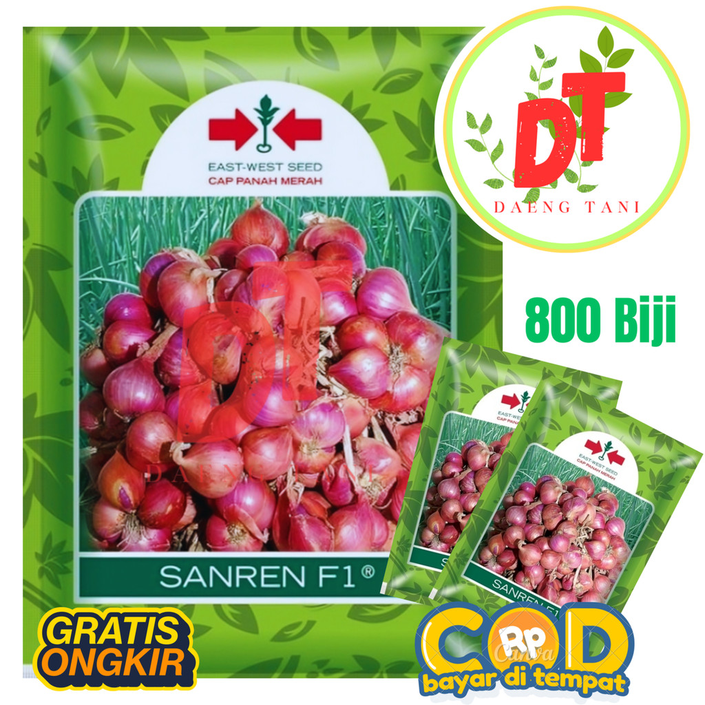 Benih Bibit Bawang Merah dari Biji TSS SANREN F1 800 Biji Cap Panah Merah