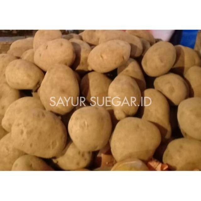 

Kentang dieng /500 gram