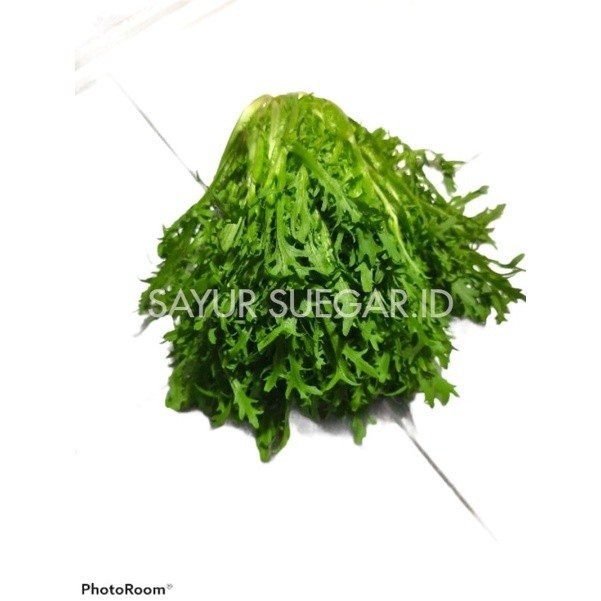 

lettuce endive 250 gram