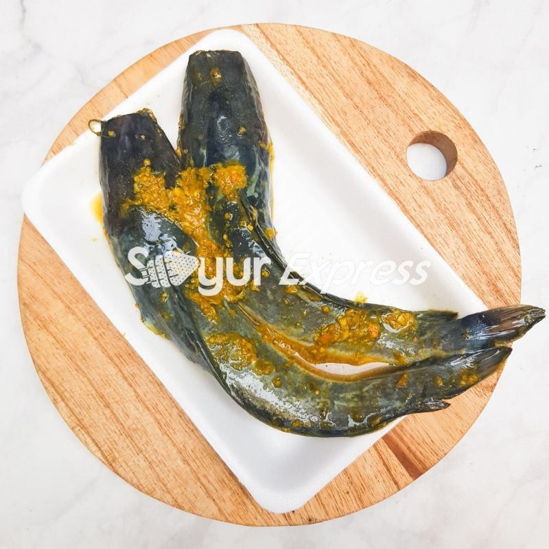 

Syegar Fresh Lele Bumbu Kuning 2 ekor