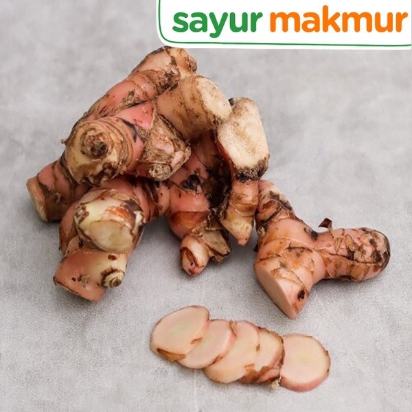 

Lengkuas Konvensional 100 gram Sayurmakmur