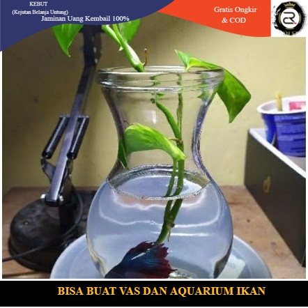 VAS AQUARIUM IKAN CUPANG / AQUARIUM IKAN GUPPY / AQUASCAPE / VAS KACA BENING / VAS BUNGA / VAS KACA 