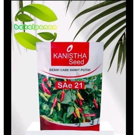 Benih Bibit rawit Sae 21 tipe ori 10gr