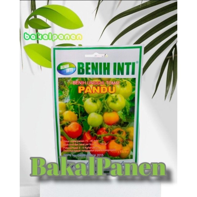 Benih bibit tomat Benih Inti PANDU isi 150biji kemasan segel
