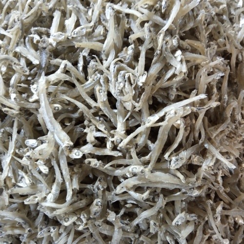 

TERI TAWAR SUPER KECIL LEMBUT 1 KG//COD