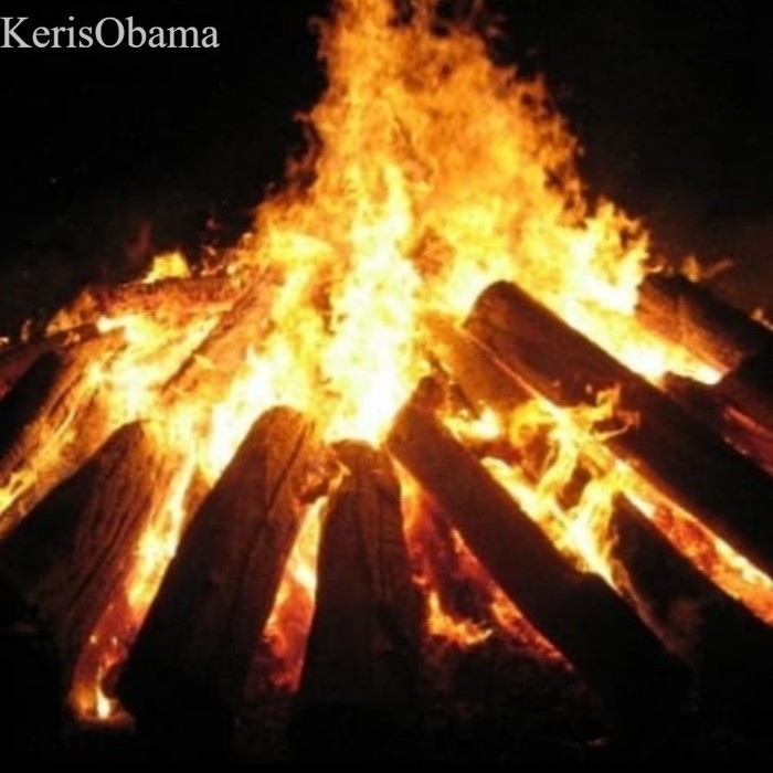 

kayu bakar siap pakai praktis kayu api unggun murah
