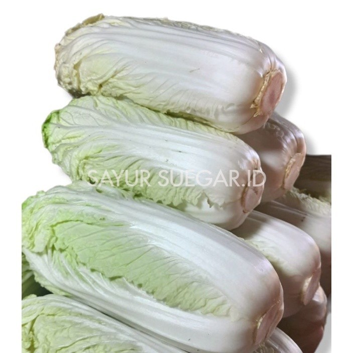 

sawi putih 1 kg