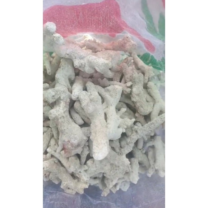 Karang jahe 1kg / karang jahe / batu karang jahe 1kg / batu karang jahe