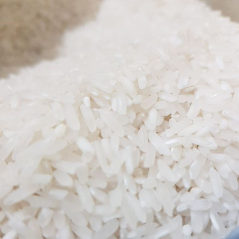 

Syegar Fresh Beras Ramos 1kg