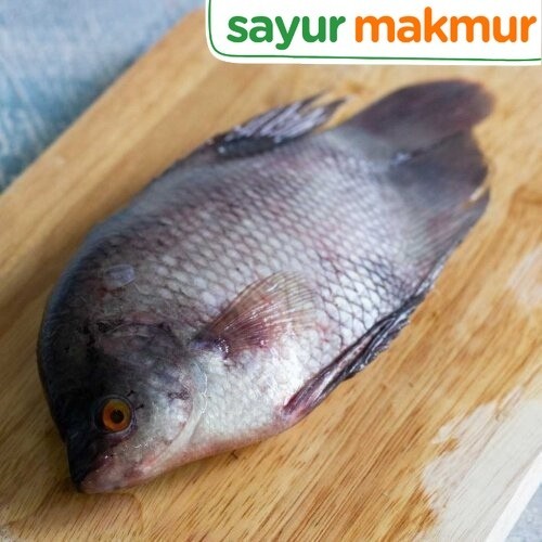 

Banda Ikan Gurame 500 gram Sayurmakmur