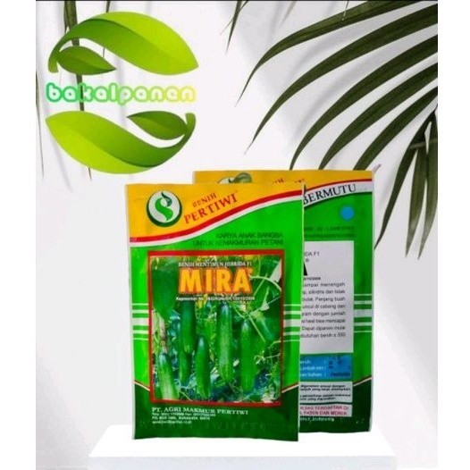 Benih bibit timun Pertiwi Mira F1 25gr