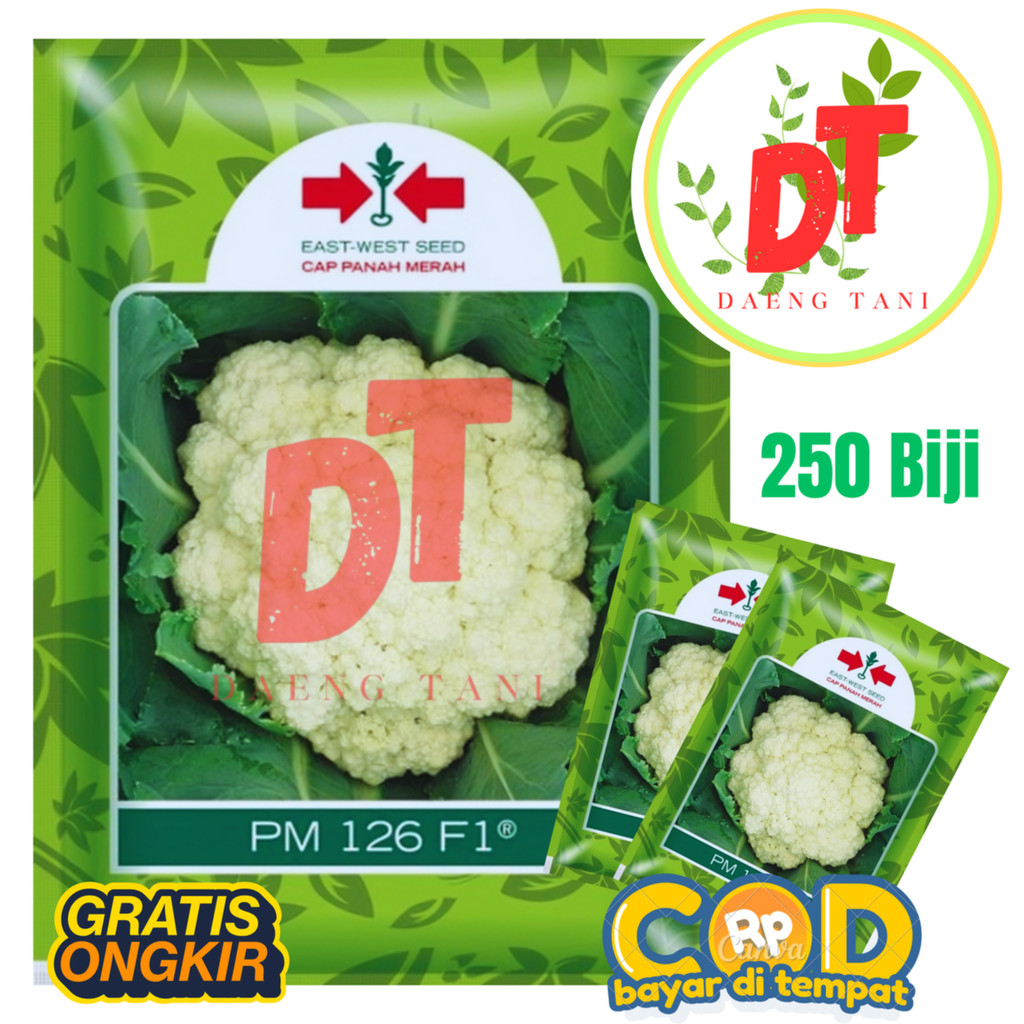 Benih Bibit Kembang Bunga Kol Dataran Rendah PM 126 F1 250 Biji Cap Panah Merah