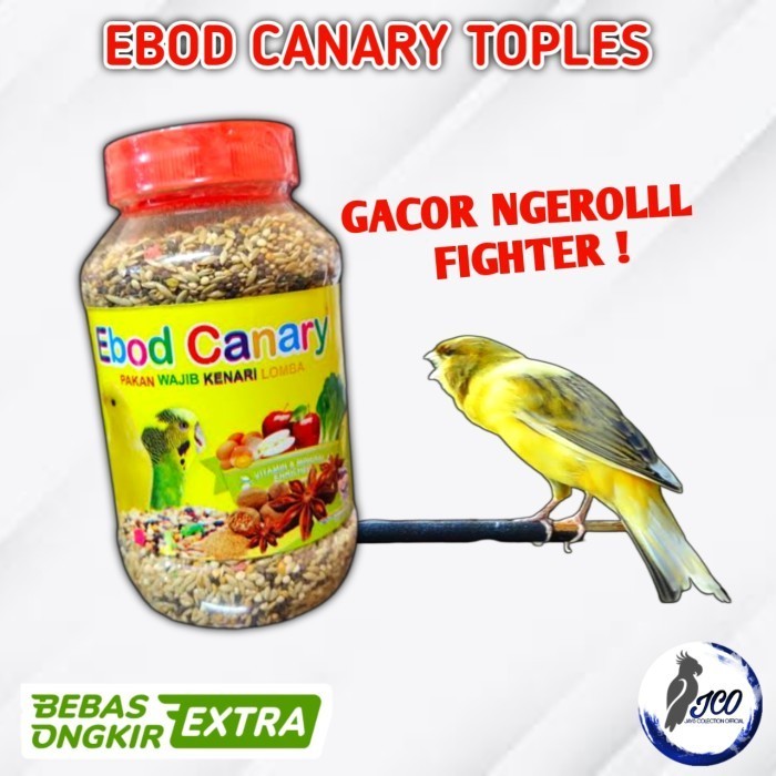 PAKAN LOMBA BURUNG KENARI EBOD CANARY TOPLES EBOD KENARI TOPLES GACOR