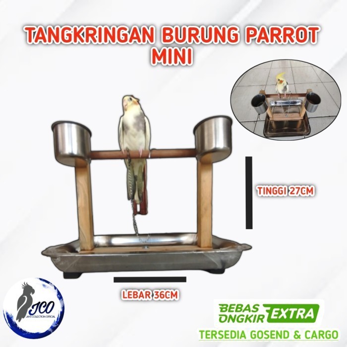 TANGKRINGAN BURUNG PARROT TANGKRINGAN TRAINING BURUNG FALK NURI HANTU