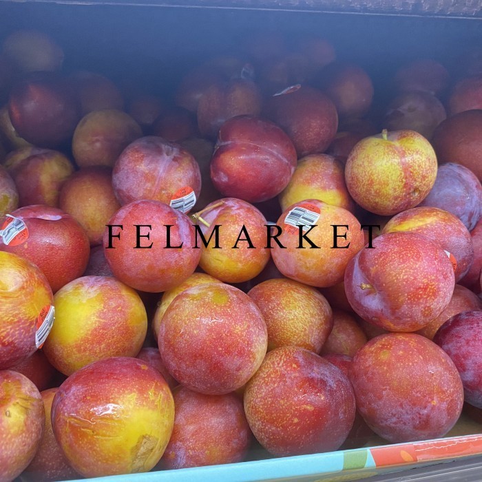 

Plum Amber Jawel Import Fresh / Buah Plum Red / 1 Kg