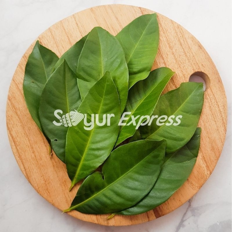 

Syegar Fresh Daun Salam Hijau Segar 10 lembar