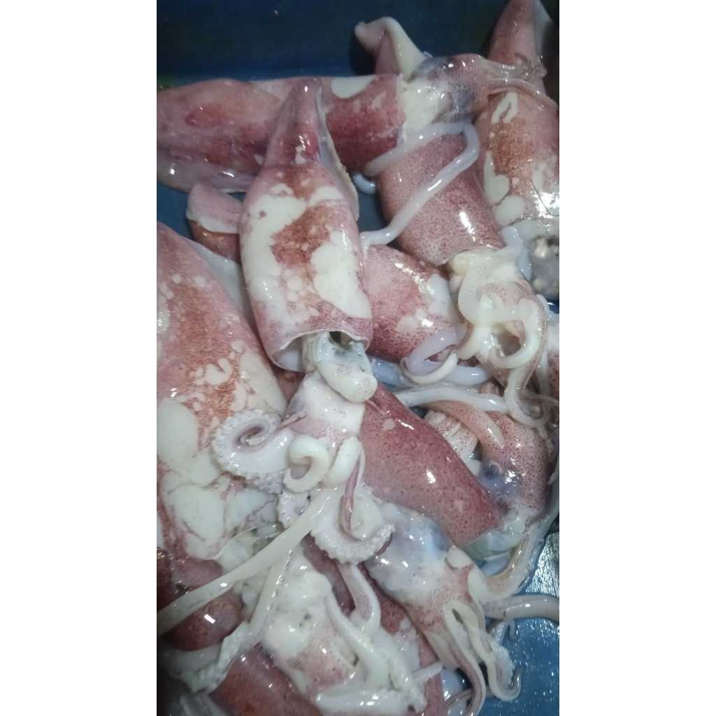 

Cumi Fresh