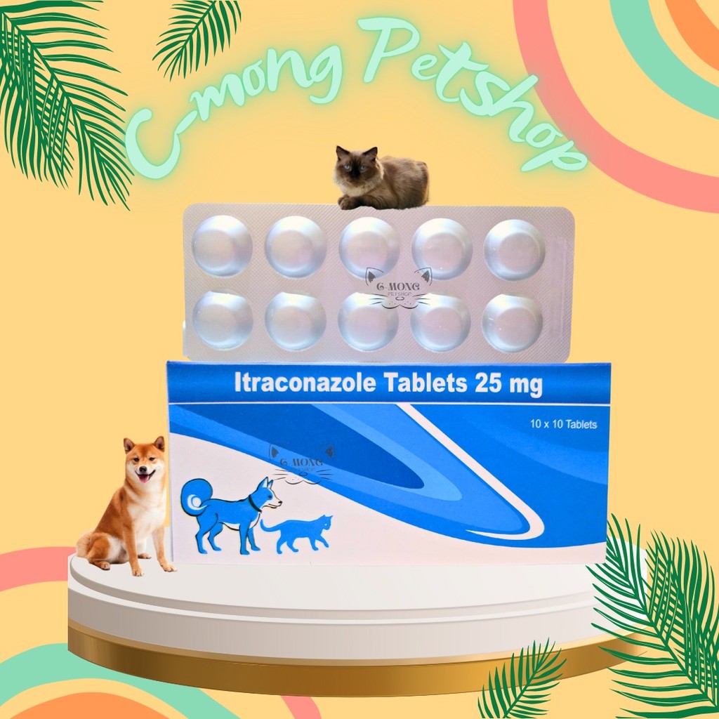 Itraconazole 25mg Obat Anti Jamur Ringworm Kucing Anjing (1 TABLET)