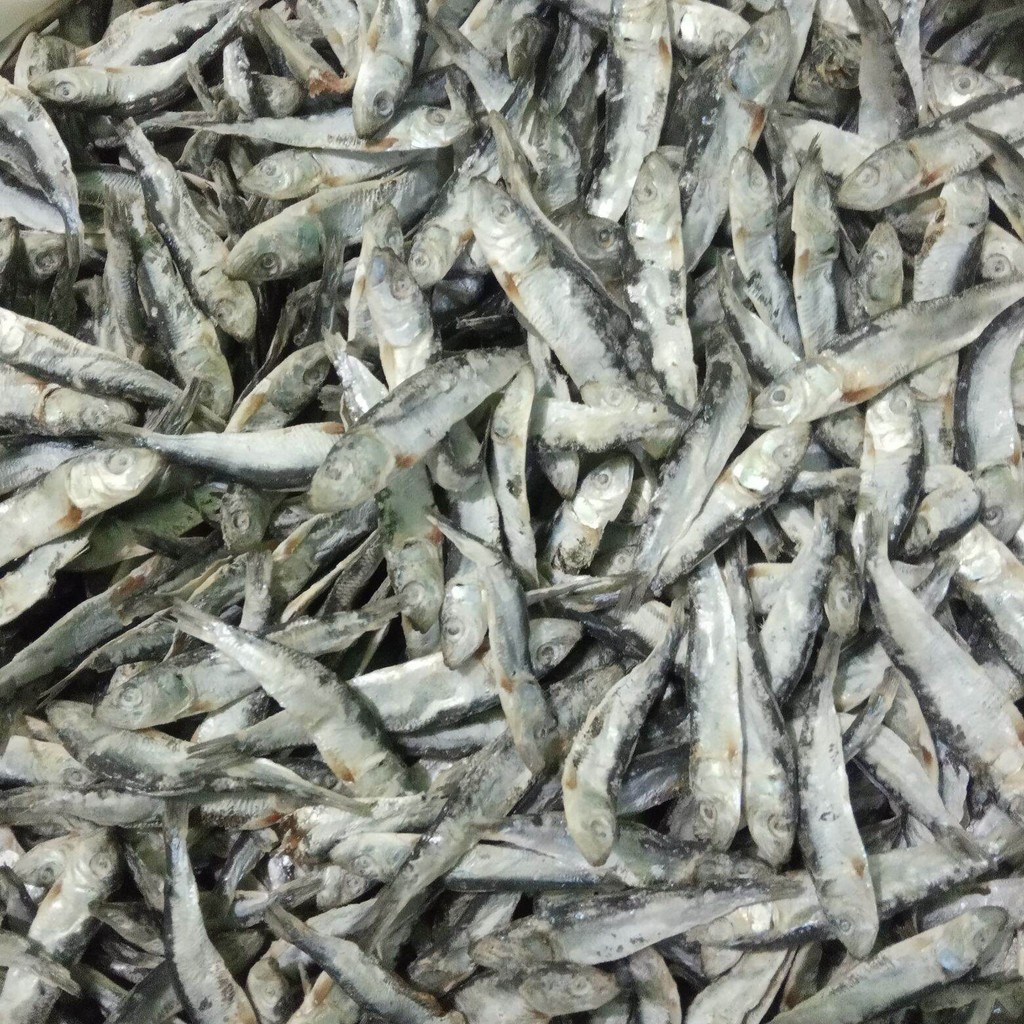 

ikan asin tembang semenit 250 gram asli pangandaran
