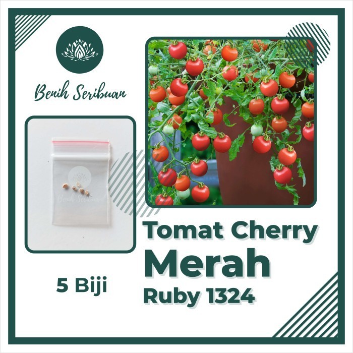 Harga tc ruby Terbaru Apr 2026 | BigGo Indonesia