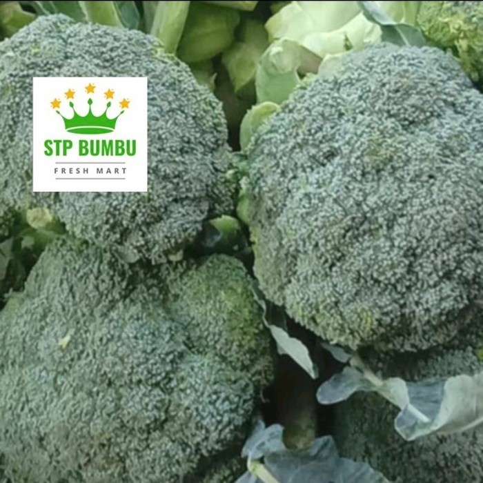 

Sayur Brokoli Segar Fresh Murah 1 kg - Grosir - 1kg