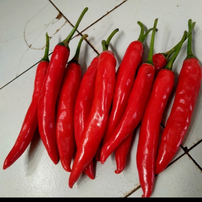 

CABE MERAH TW/GEDE MURAH 1kg