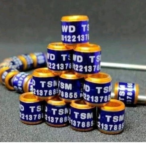 RING BURUNG MERPATI MURAI LOVEBIRD KENARI PERKUTUT GRATIS CETAK NAMA MODEl LASER MK