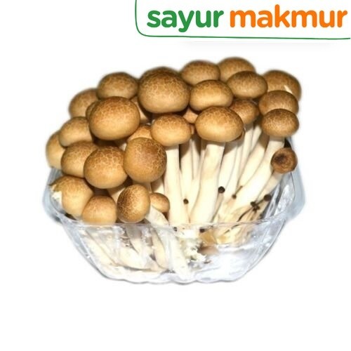 

Jamur Shimeji Coklat Impor Impor 1 pack Sayurmakmur