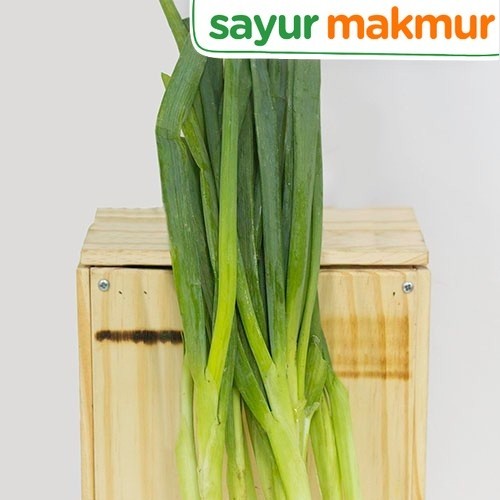 

Daun Bawang Konvensional 250 gram Sayurmakmur