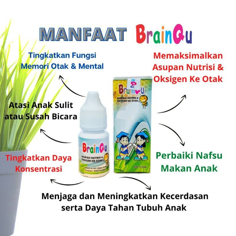 

BRAINQU MADU ASUPAN NUTRISI TUBUH DAN OTAK