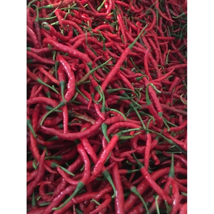 

Cabe merah Keriting 1kg - 500gram