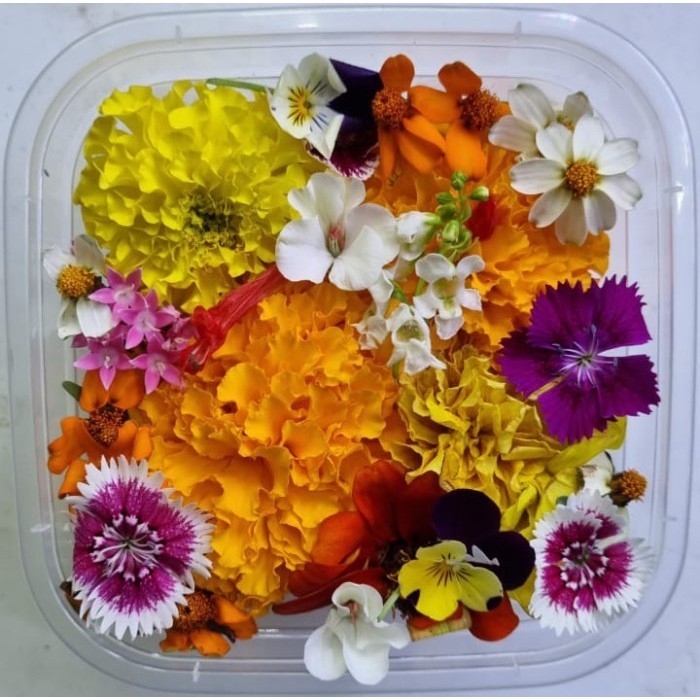 

Mix Edible Flowers Fresh 20 pcs