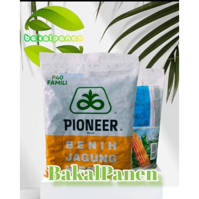 Jagung pioneer Pioner P40 Famili 1kg