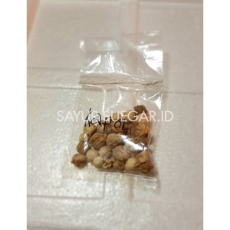 

kapol 5 gram