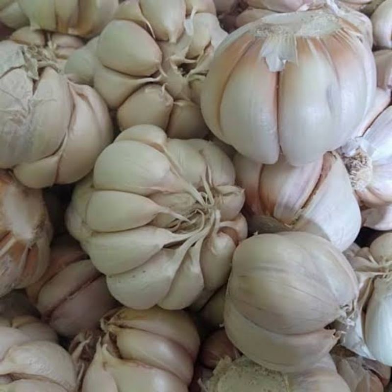 

Bawang Putih Sinco 250gr / 500gr / 1kg