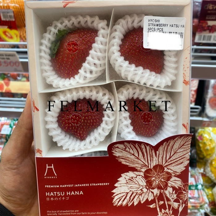 

Strawberry Hatsu Hana Japanese Premium / Buah Strwberry Bibit Jepang / Box