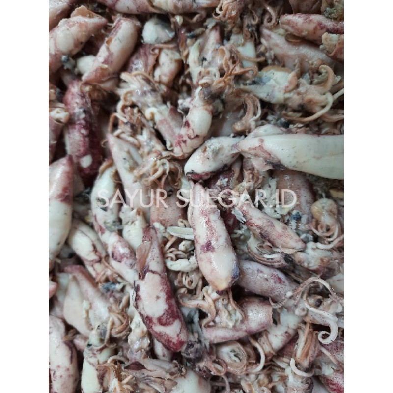 

cumi asin 250 gram