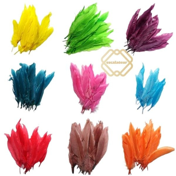 Bubu Bulu ayam Hias /Jual Bulu Ayam Warna warni Halus/Lembut Per 50 / Bulu Ayam Hias / bulu ayam war