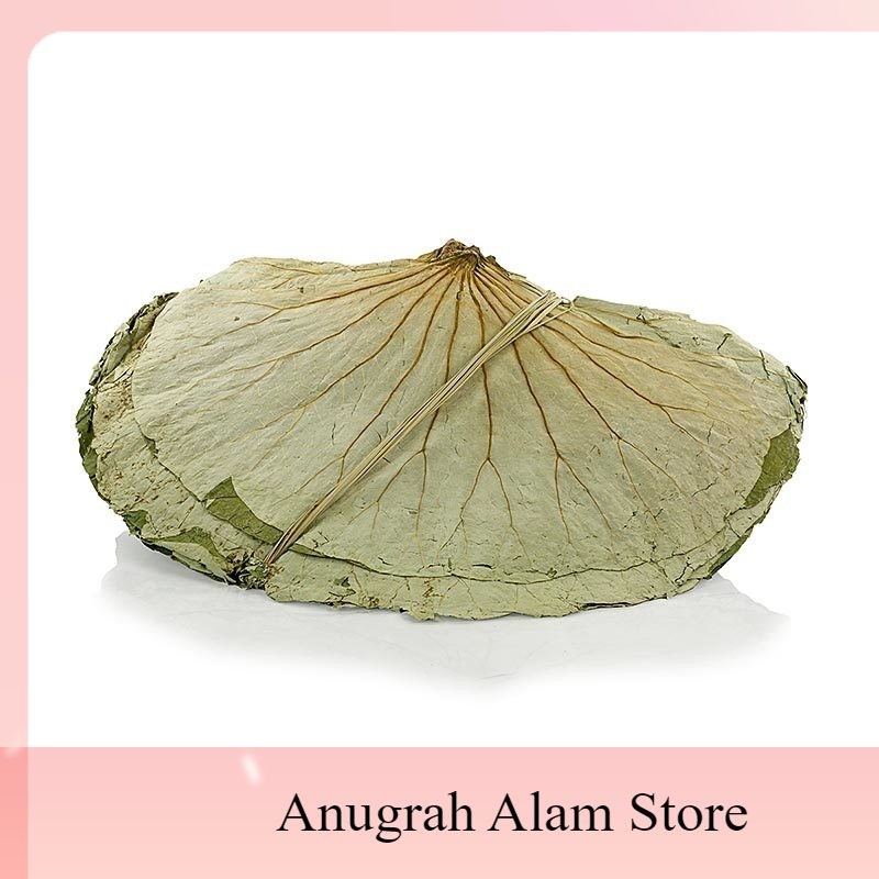 

Bisa COD Daun teratai kering~Teh daun teratai kering~Obat Herbal Alami