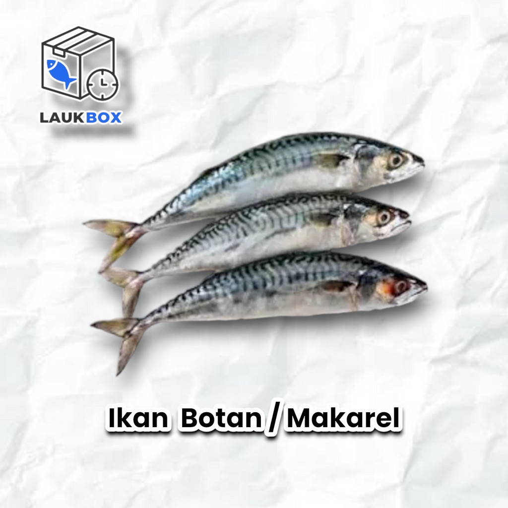 

Ikan Botan / Mackarel