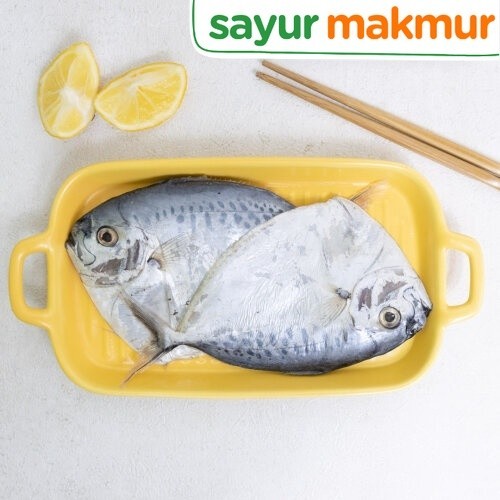 

Berkah Ikan Semar 500 gram Sayurmakmur