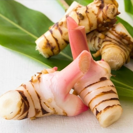 

lengkuas merah 500gr, bumbu masakan sekaligus herbal